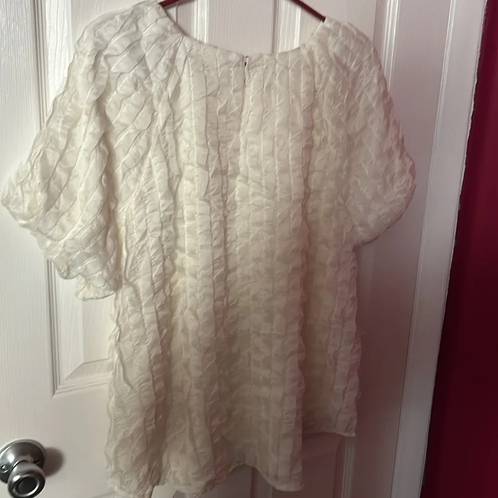 Patton Ruffle Blouse - Picture 6 of 6